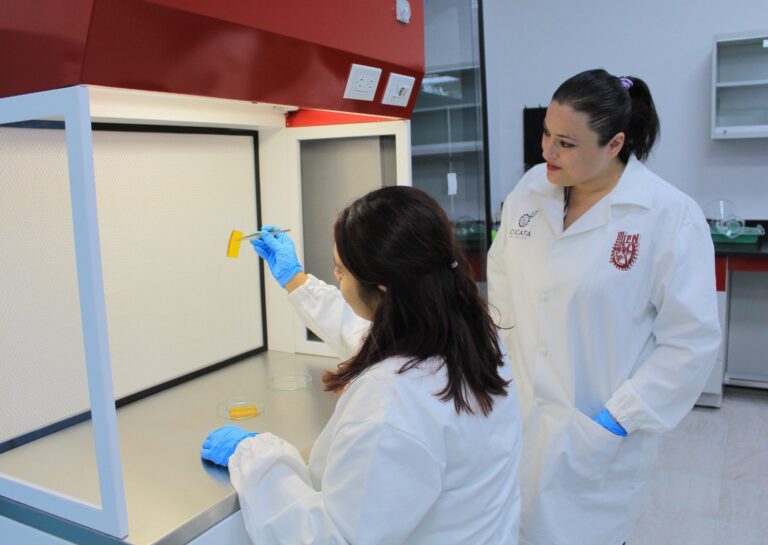 IPN sorprende y crea un parche inteligente para heridas crónicas: ¿De qué está hecho y cómo funciona?