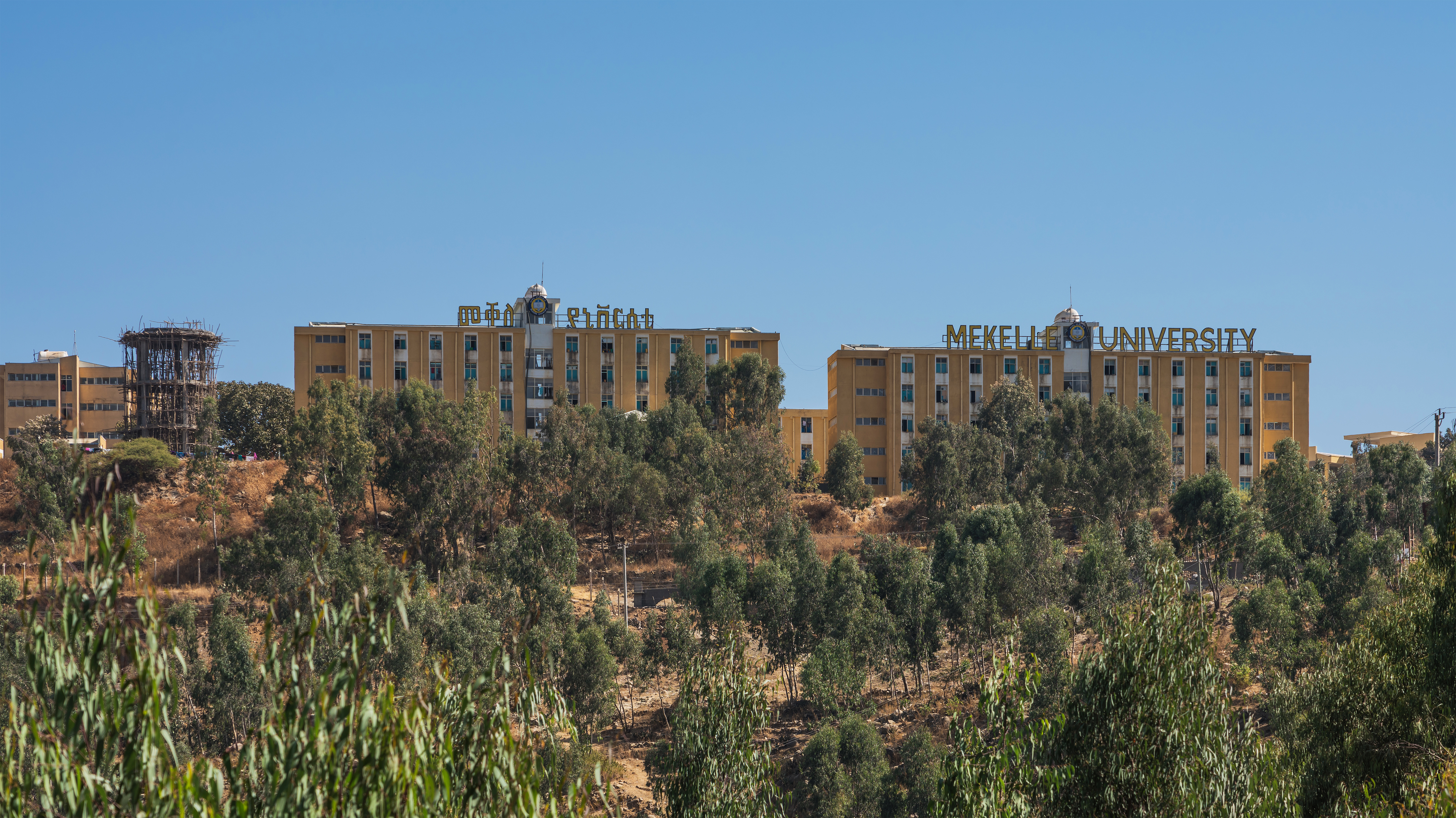 Mekelle