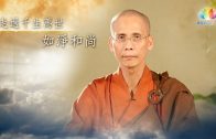 以《釋量論》破流言