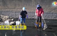 20190212台中筏子溪救魚ENG-推圖-繁體-官網