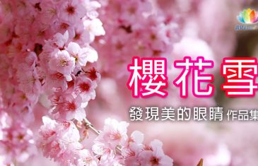 櫻花雪-夢蓮花讚頌合唱團《 深夜心音 _ 發現美的眼睛・作品集 》