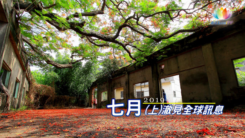《 2019年07月(上)－澈見全球訊息 》