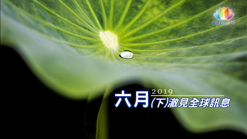 《 2019年06月(下)－澈見全球訊息 》