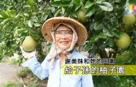 澈見人物誌・《 謝美妹給子孫的柚子園 》