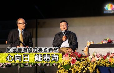 《 心向日・離毒海：向日農場給戒毒者希望 》