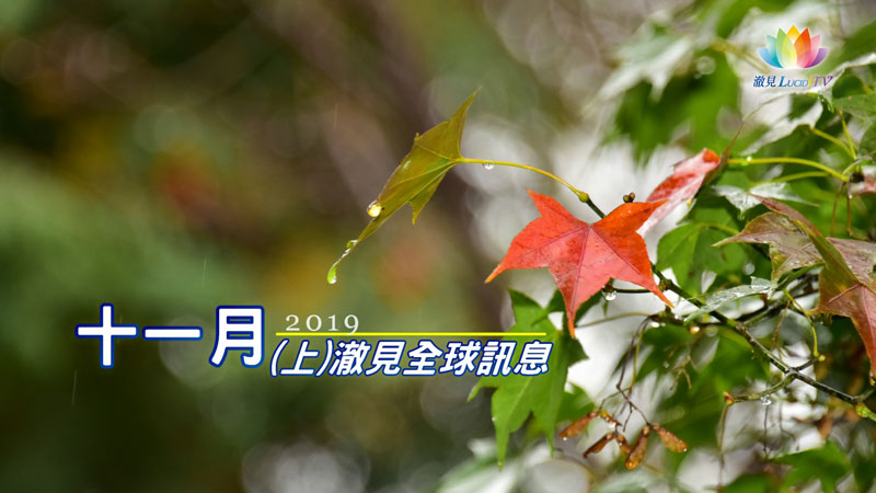 《 2019年11月(上)－澈見全球訊息 》