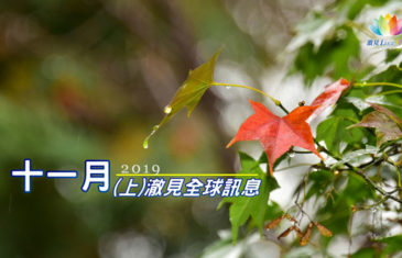 《 2019年11月(上)－澈見全球訊息 》