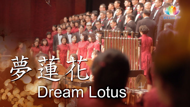 《 夢蓮花 Dream Lotus 》