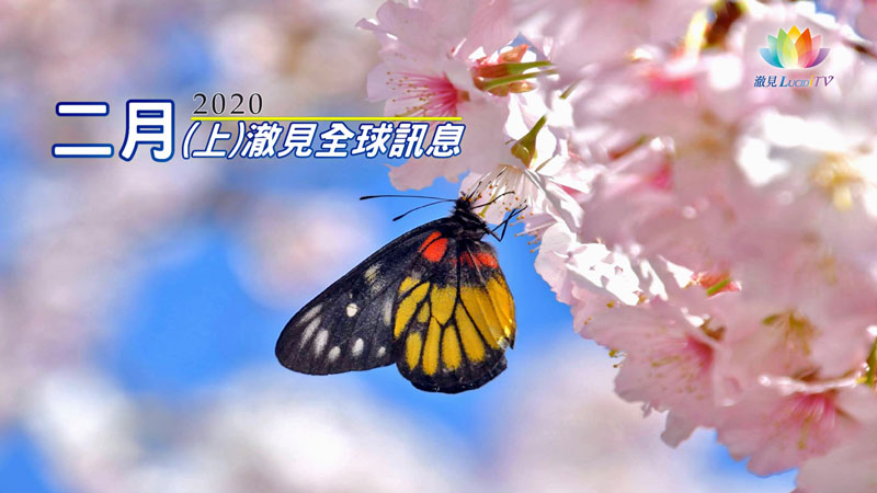 【 澈見全球訊息 】2020・2月(上)