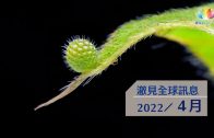 2023・7月・澈見全球訊息