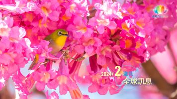 2024二月澈見全球訊息-推圖-小蓮花-更新