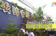 老是什麼？敬老事業展出奧義