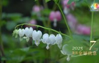2024・8月・澈見全球訊息