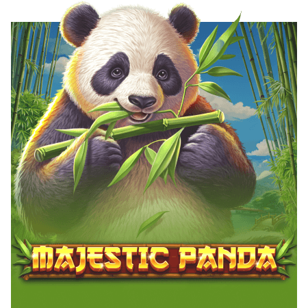 Majestic Panda
