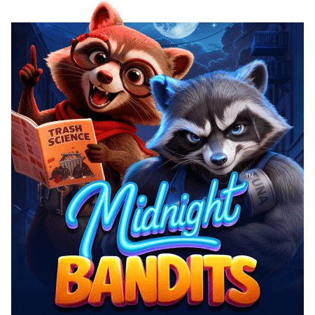 Midnight Bandits