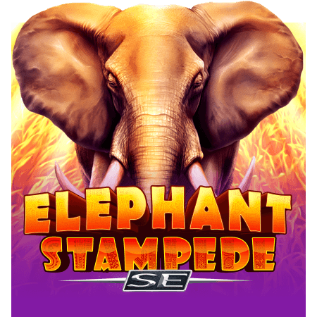 Elephant Stampede