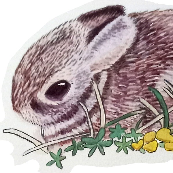 Painting of a bunny sitting in grass and flowers