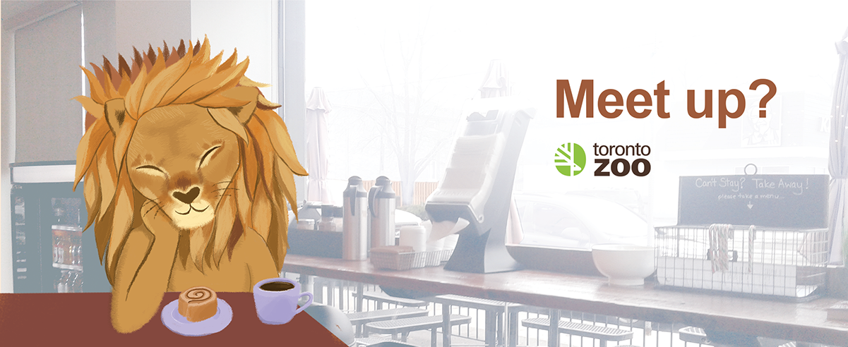 Drawing of a lion in a coffee shop with text that says meet up and the Toronto Zoo logo. 