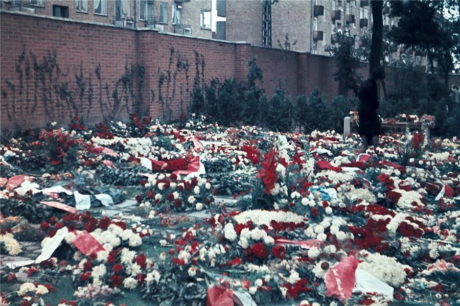 Fællesgraven  for de danske soldater, som faldt i kampene den 29. august 1943. Her fotograferet kort tid efter bisættelsen. Kilde Nationalmuseet. Fotograf:  J. H. Mule Henningsen 