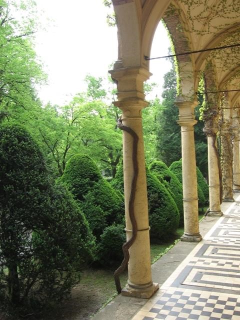 The Arcade - inside view