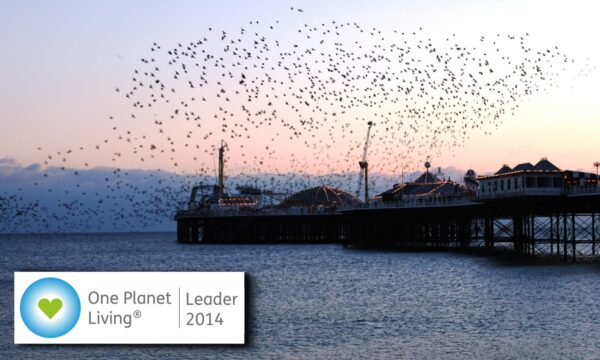 Brighton and Hove City Council One Planet Living leader web banner 2014