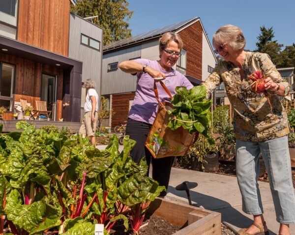 Grow Village Gardenharvest © Grow Community