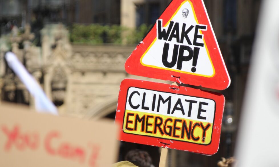 declare climate emergency what nextShutterstock 1509744410