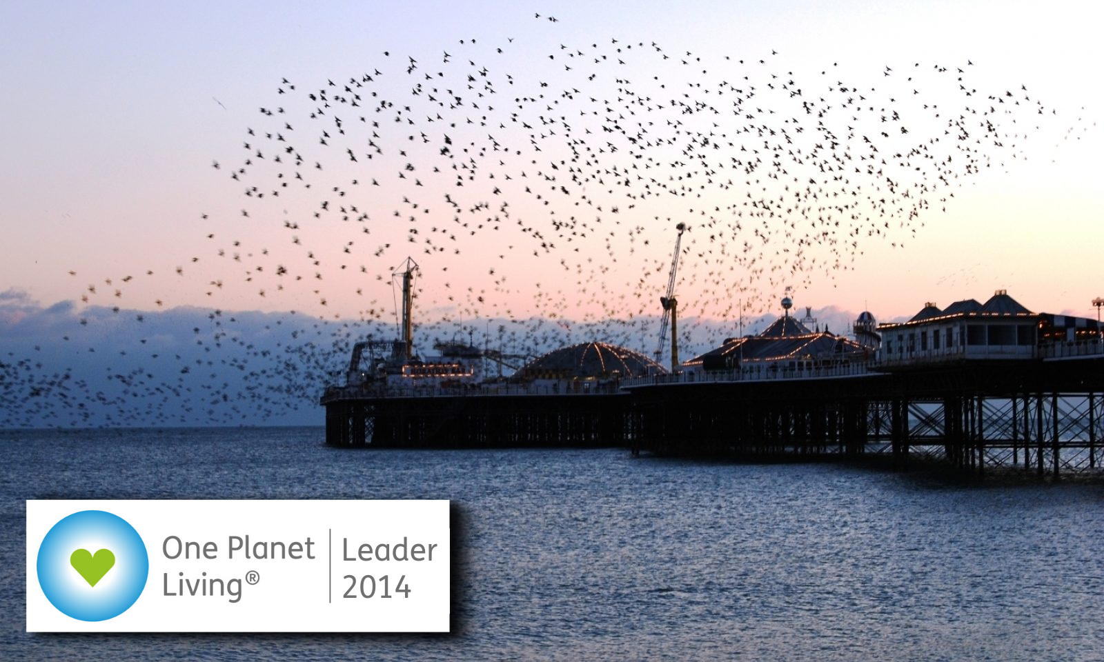 Brighton and Hove City Council One Planet Living leader web banner 2014
