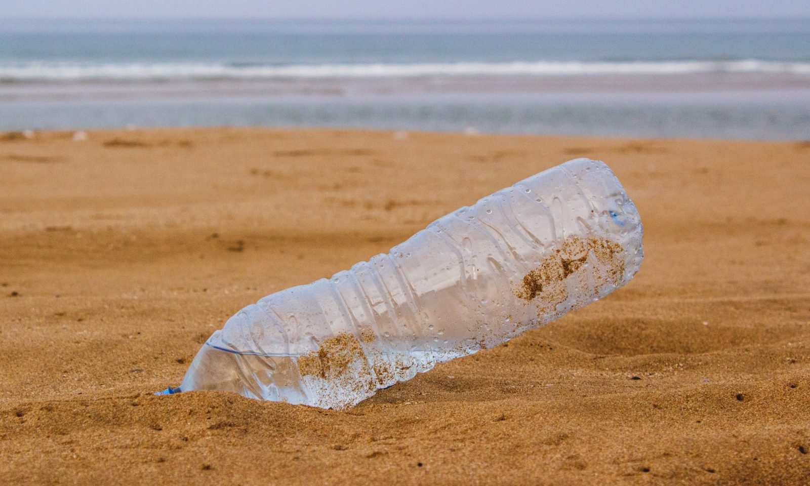 Why Going Plastic Free Could Have Environmental Side Effects And Four Ways We Can Prevent This Bioregional