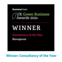 Consultancy of the Year winner