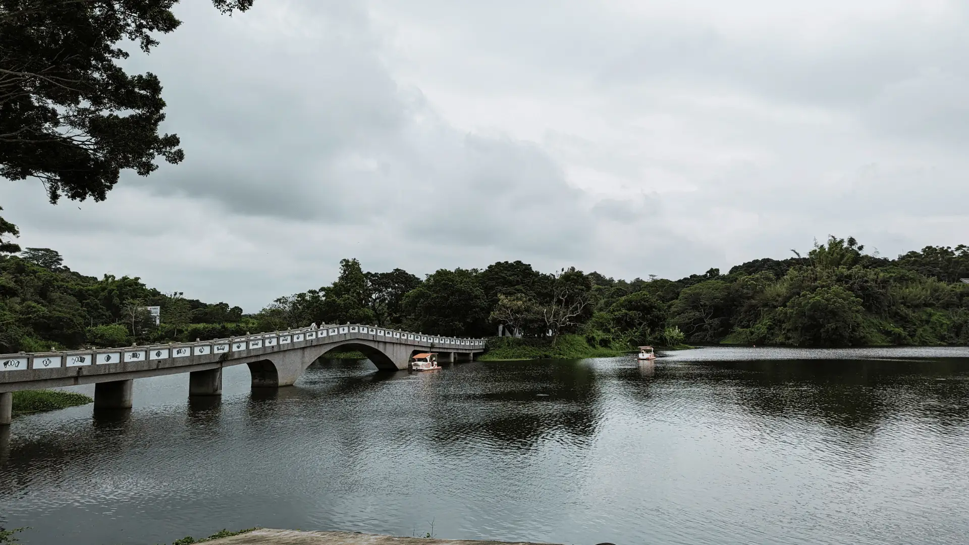 新竹青草湖環湖步道 – 山水相映的自然美景 – 親子休閒好選擇