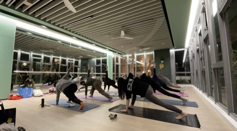 瑜伽貓貓_yogacatxcat