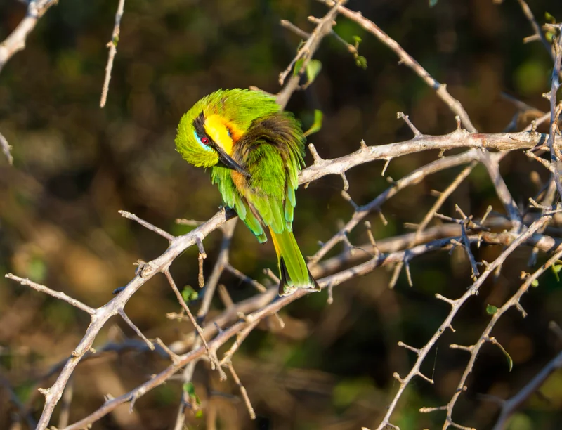 _DSC2680-Edit copy.jpg