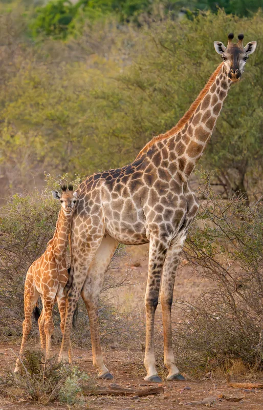 _DSC3146-Edit copy.jpg