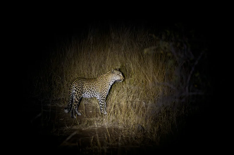 _DSC3262-2-Edit copy.jpg