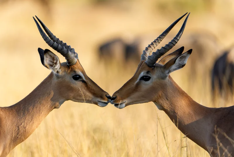 _DSC3683-Edit copy.jpg