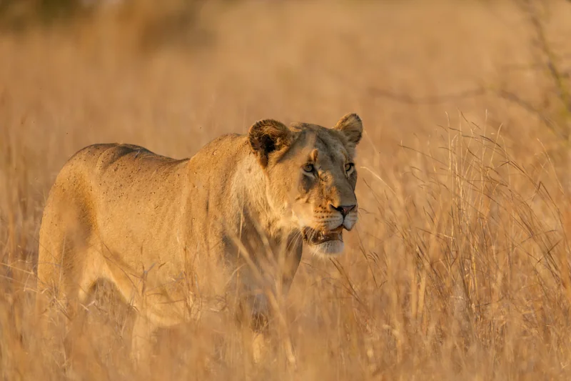 _DSC5013-Edit copy.jpg