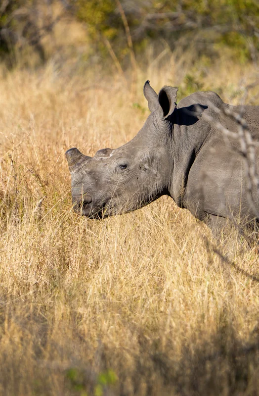 _DSC6365-EditVERTCROP copy.jpg