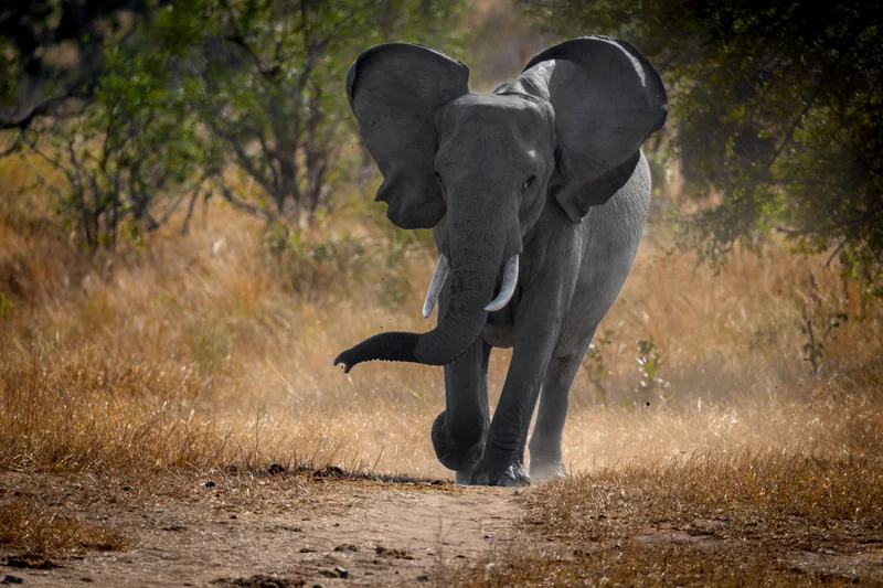 _DSC7499-Edit copy.jpg