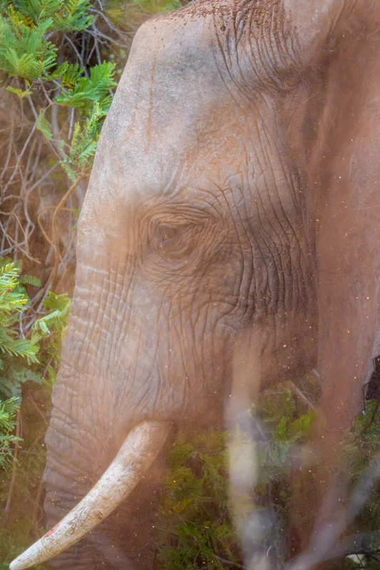 _DSC8746-Edit copy.jpg