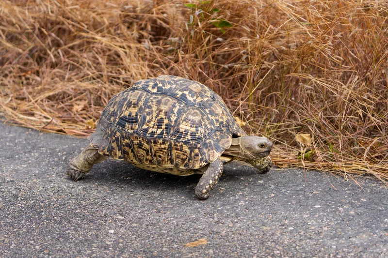 _DSC8914-Edit copy.jpg