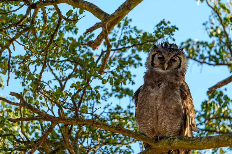 _DSC9111-Edit copy.jpg