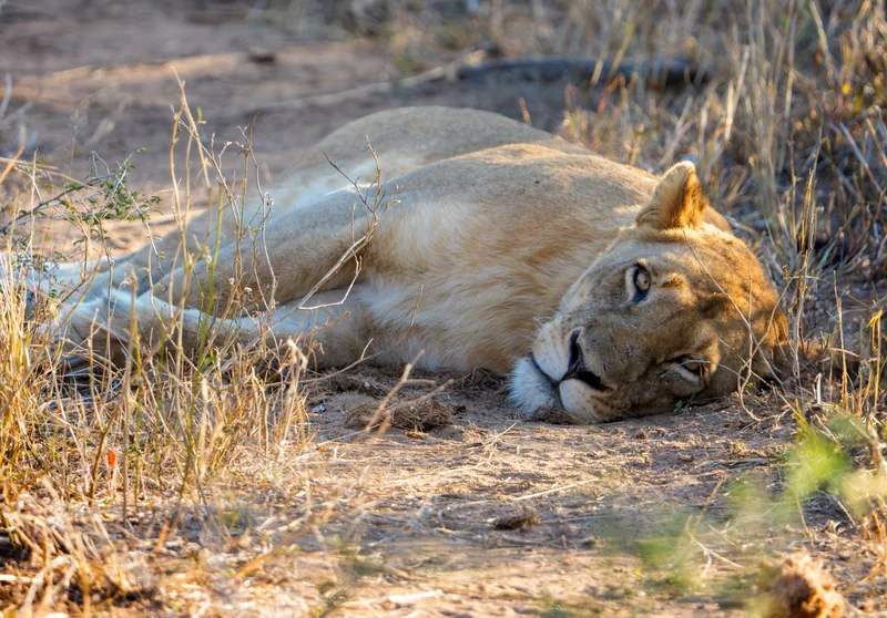 _DSC9604-EditCROP copy.jpg