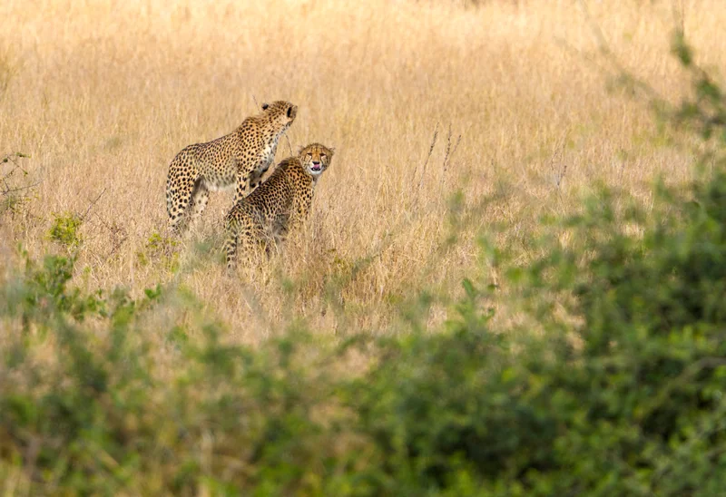 _DSC9876-Edit copy.jpg