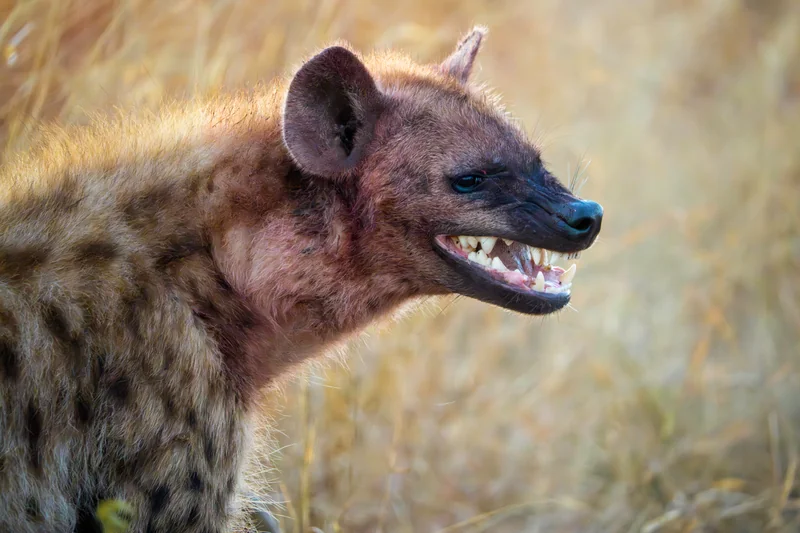 _DSC9893-Edit copy.jpg