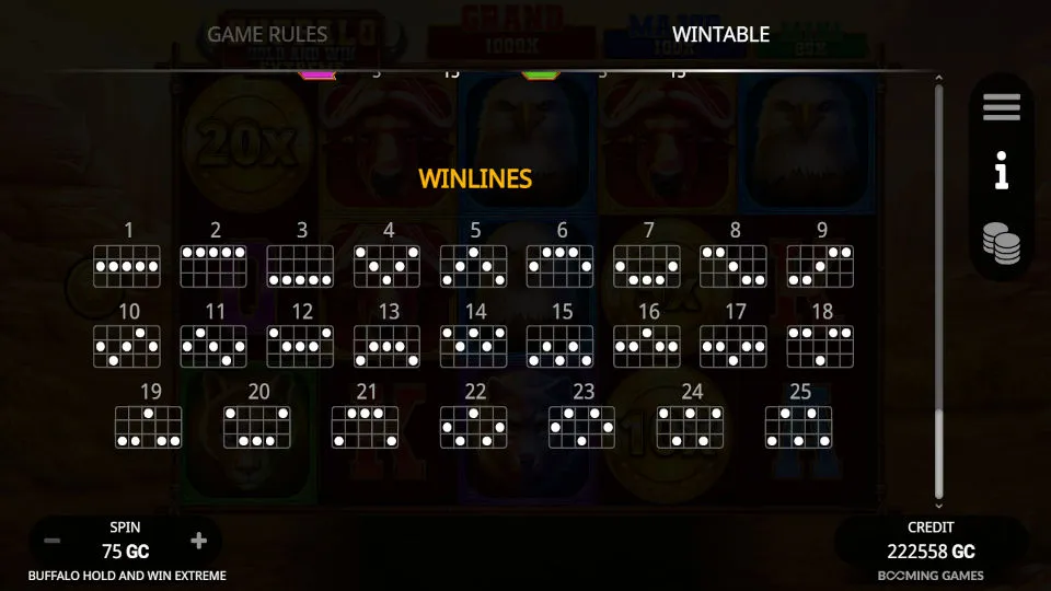 Buffalo Hold and Win Extreme displays all 25 possible winning combinations for the slot game.