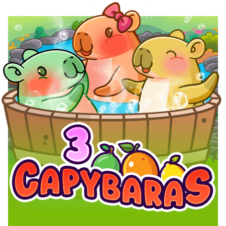 3 Capybaras