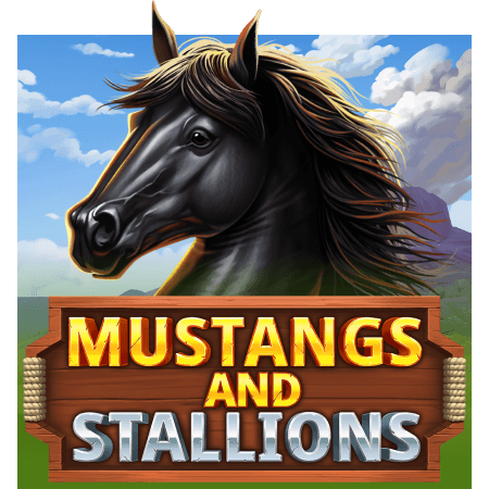 Mustangs and Stallions