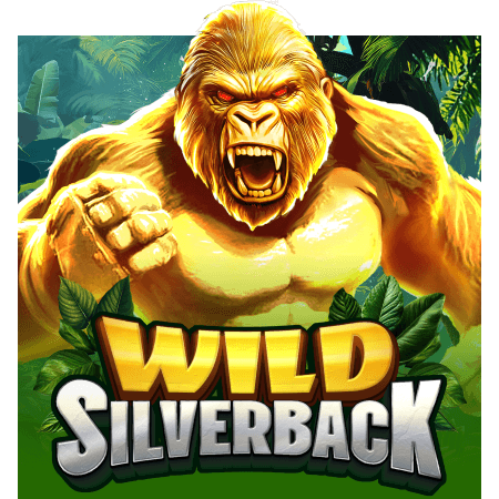 Wild Silverback