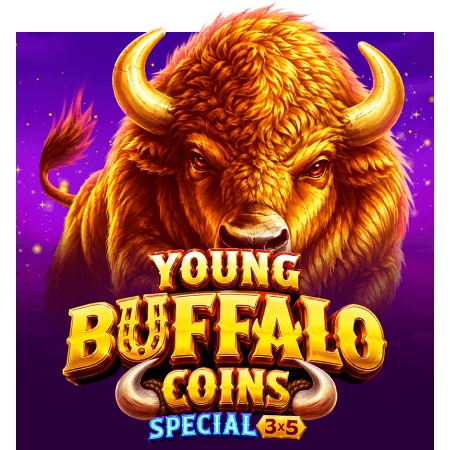 Young Buffalo Coins Special 3x5